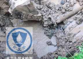 舞阳水管漏水检测公司5